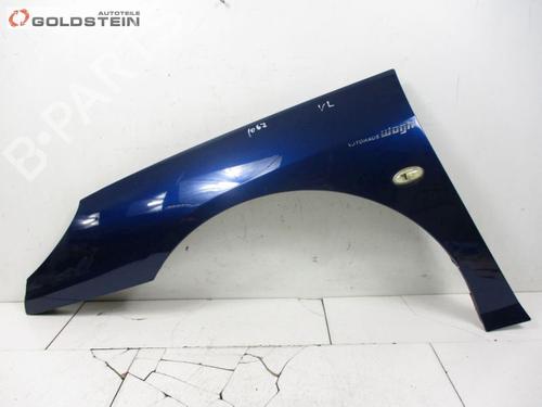 Used Left front fenders PEUGEOT 407 SW (6E_, 6D_) 2.0 HDi 135 (136 hp) 18788221