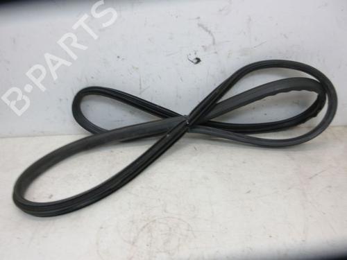 Rubber door seal RENAULT GRAND SCÉNIC III (JZ0/1_) 1.4 16V (JZ0F) | BP19299869C142 