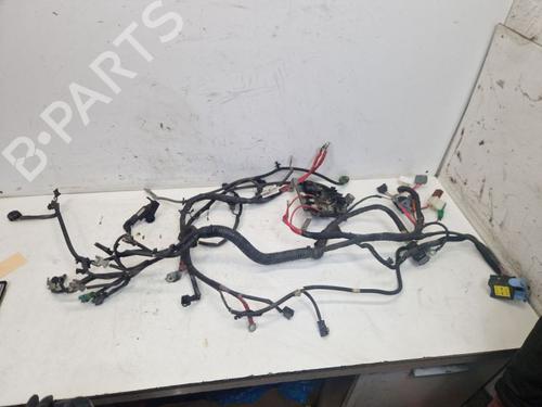 Used Wiring harness Wiring harness RENAULT KANGOO Express (FW0/1_) 1.5 dCi 70 (FW0A, KW0V) (68 hp) 33276481 33276481