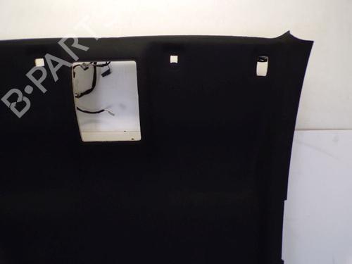 Interior roof FORD FIESTA VII (HJ, HF) 1.5 ST EcoBoost | BP29098328I12 