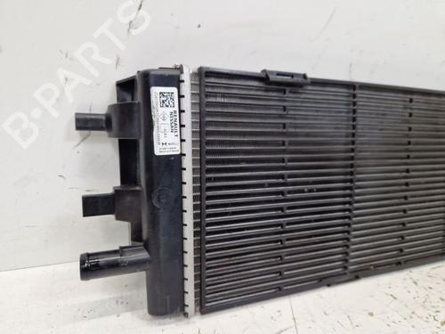 Køler RENAULT AUSTRAL E-TECH 200 Hybrid (HGM2) | BP29108551M31