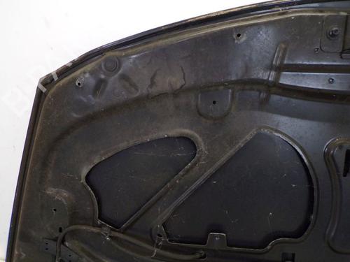 Hood RENAULT CLIO III (BR0/1, CR0/1) 1.2 16V (BR02, BR0J, BR11, CR02, CR0J, CR11) | BP29095382C1 