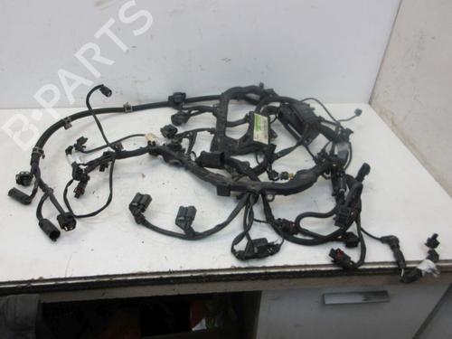Ledningsnet MERCEDES-BENZ C-CLASS (W203) C 280 4-matic (203.092) (231 hp) 29097701
