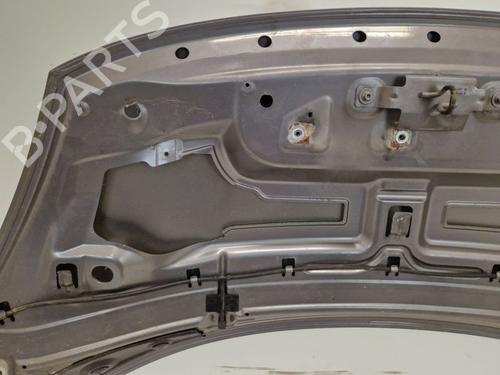 Hood RENAULT SCÉNIC III (JZ0/1_) 2.0 dCi (JZ0Y, JZ26) | BP32087493C1 