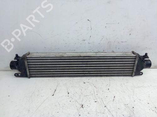 Intercooler FIAT BRAVO II (198_) 1.4 T-Jet (198AXG1B) (120 hp) 25944952