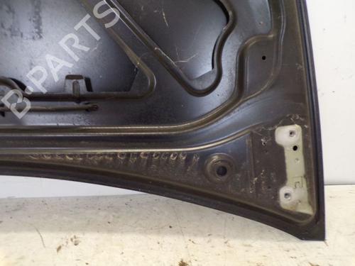 Hood RENAULT CLIO III (BR0/1, CR0/1) 1.2 16V (BR02, BR0J, BR11, CR02, CR0J, CR11) | BP29095382C1 