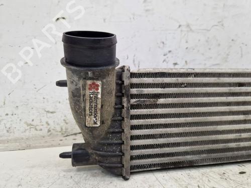 Intercooler FIAT SCUDO Bus (270_, 272_) 2.0 D Multijet | BP29106555M30 