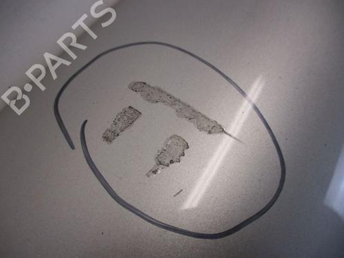Tailgate FORD TOURNEO CONNECT 1.8 TDCi | BP18762281C6 