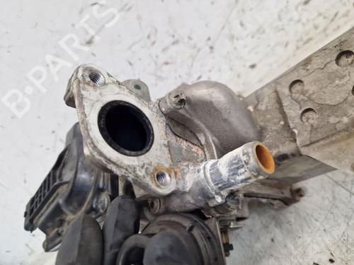 Egr RENAULT GRAND SCÉNIC III (JZ0/1_) 1.9 dCi (JZ0J, JZ0N, JZ1K, JZ1S) | BP29107700M69 