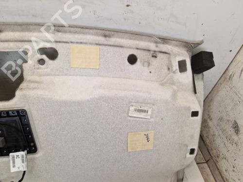 Tetto interno FORD TRANSIT V363 Van (FCD, FDD) 2.0 EcoBlue | BP30578639I12