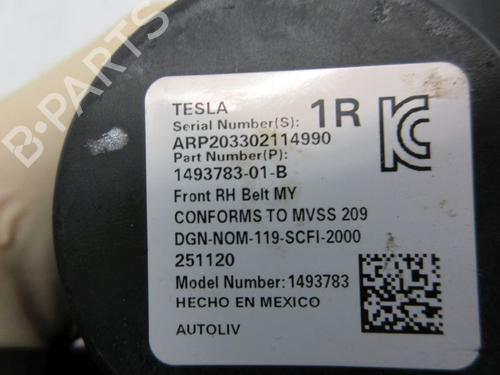 Front right seatbelt TESLA MODEL Y (5YJY) EV Performance All-wheel Drive | BP38505928I25  - Image 10