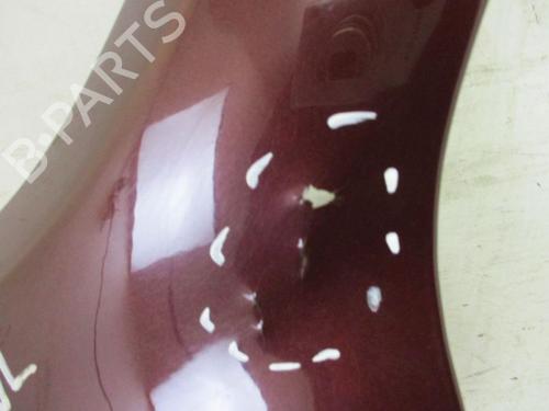 Left front fenders SKODA OCTAVIA II (1Z3) 1.6 TDI | BP18792125C41 