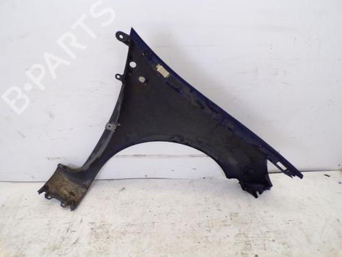 Left front fenders RENAULT CLIO III (BR0/1, CR0/1) 1.2 16V (BR02, BR0J, BR11, CR02, CR0J, CR11) | BP18798903C41 