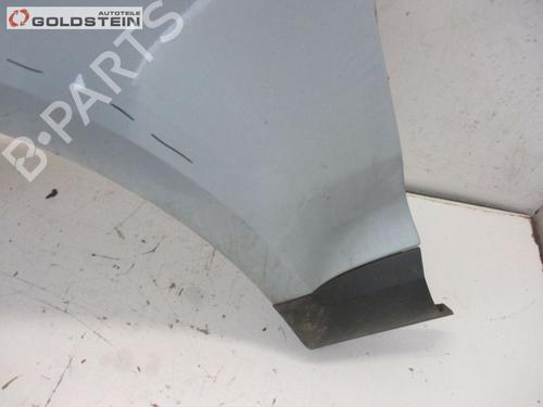 Left front fenders VW TOUAREG (7LA, 7L6, 7L7) 2.5 R5 TDI | BP18762525C41 