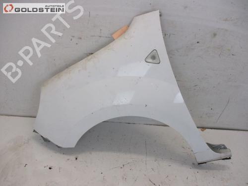 Voorscherm links RENAULT KANGOO Express (FW0/1_) 1.5 dCi 70 (FW0A, KW0V) (68 hp) 18762435
