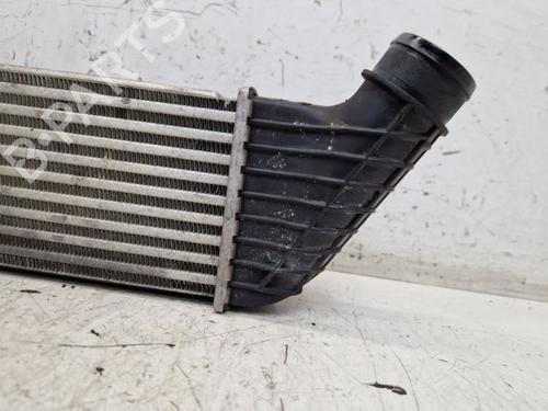 Intercooler FIAT SCUDO Bus (270_, 272_) 2.0 D Multijet | BP29106555M30 