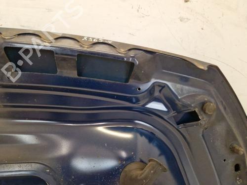 Hood FIAT SCUDO Bus (270_, 272_) 2.0 D Multijet | BP29106482C1 