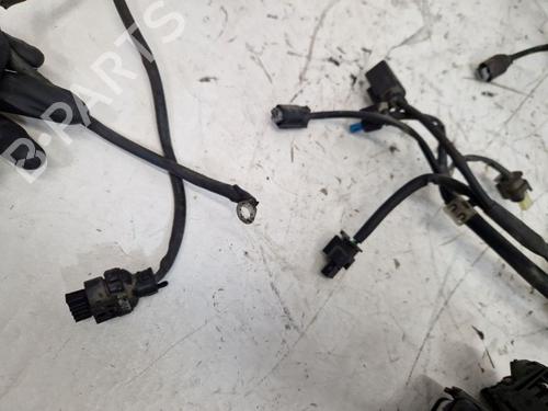 Wiring harness MERCEDES-BENZ VITO Bus (W639) 110 CDI (639.701, 639.703, 639.705) | BP29171324E16 