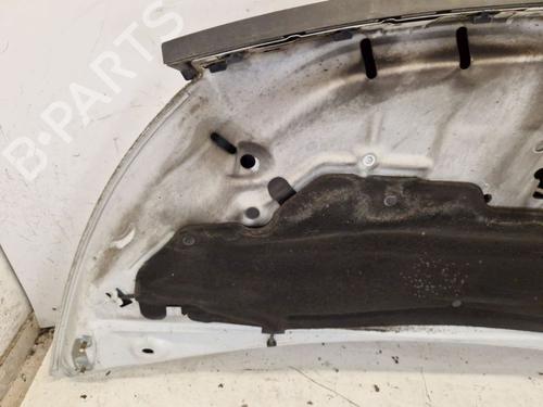 Hood RENAULT TRAFIC III Van (FG_) 1.6 dCi 95 (FGMJ, FGMR) | BP31811980C1 