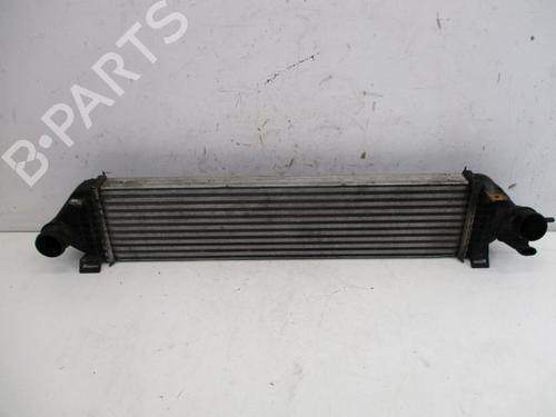 Used Intercooler FORD KUGA II (DM2) 1.6 EcoBoost 4x4 (182 hp) 29087835