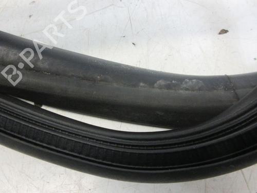Gummiliste RENAULT ZOE (BFM_) ZOE | BP29098640C142 