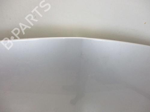 Hood RENAULT CLIO III (BR0/1, CR0/1) 1.2 16V (BR02, BR0J, BR11, CR02, CR0J, CR11) | BP18797203C1 