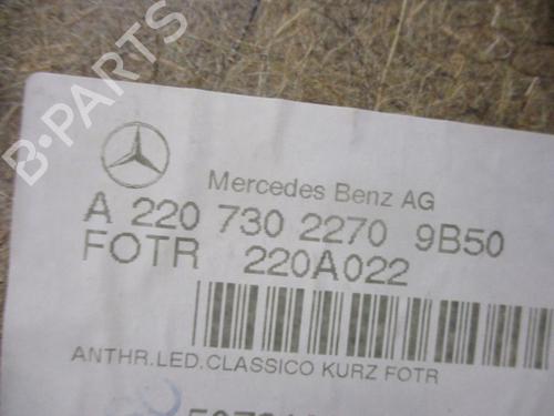 Rear right panel MERCEDES-BENZ S-CLASS (W220) S 430 (220.070, 220.170) | BP18797353C61 