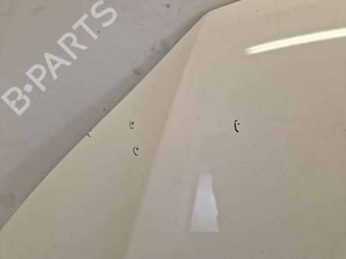 Hood VW TIGUAN (5N_) 2.0 TDI 4motion | BP29105054C1 