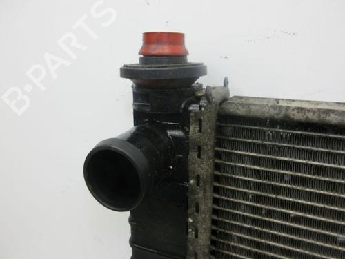 Water radiator MERCEDES-BENZ A-CLASS (W169) A 200 (169.033, 169.333) | BP29097554M31 