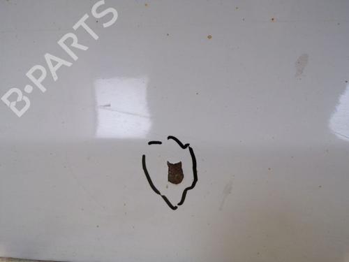 Left rear door FORD TRANSIT CONNECT (P65_, P70_, P80_) 1.8 TDCi | BP29096263C4 