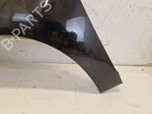Left front fenders RENAULT GRAND SCÉNIC III (JZ0/1_) 1.4 16V (JZ0F) | BP29108419C41 