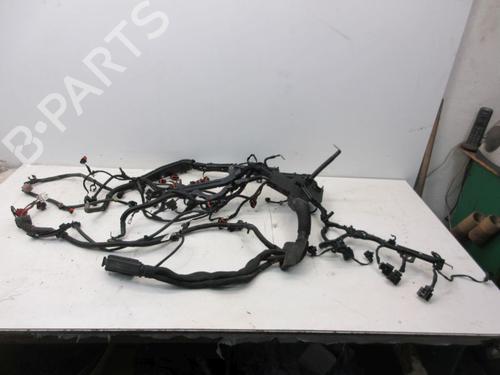 Used Wiring harness PORSCHE CAYENNE (92A) 4.8 Turbo (500 hp) 29094515