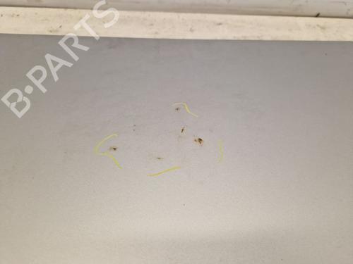 Tailgate MERCEDES-BENZ SLK (R170) 200 Kompressor (170.445) | BP29107151C6 
