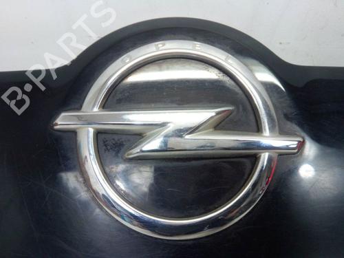 Interior roof handle OPEL MERIVA B MPV (S10) 1.4 (75) | BP30184456I35