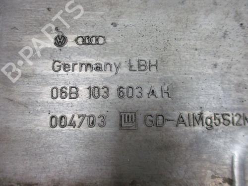 Oil sump AUDI A4 B6 (8E2) 2.0 FSI | BP18794183M115