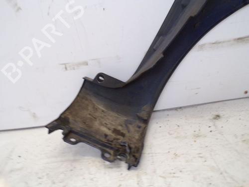 Left front fenders RENAULT CLIO III (BR0/1, CR0/1) 1.2 16V (BR02, BR0J, BR11, CR02, CR0J, CR11) | BP18798903C41 