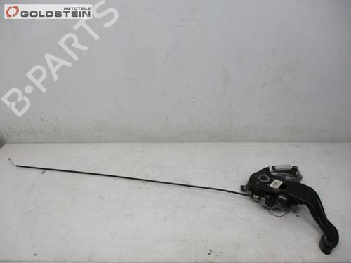 Pedal MERCEDES-BENZ R-CLASS (W251, V251) R 320 CDI 4-matic (251.022, 251.122) (224 hp) 18749672