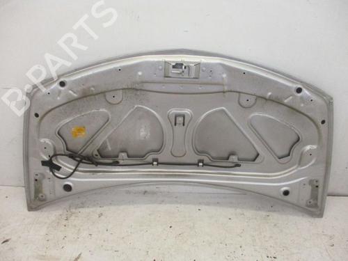 Hood RENAULT CLIO III (BR0/1, CR0/1) 1.2 16V (BR02, BR0J, BR11, CR02, CR0J, CR11) | BP18797203C1 