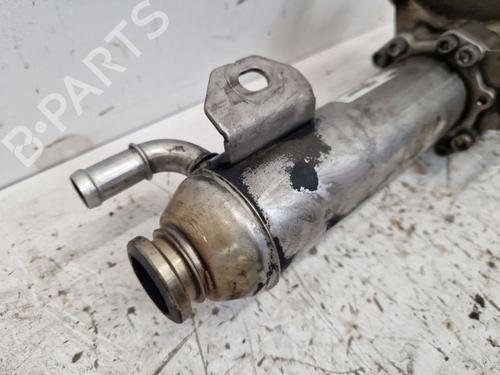 Egr VOLVO V70 II (285) D5 | BP29523589M69 