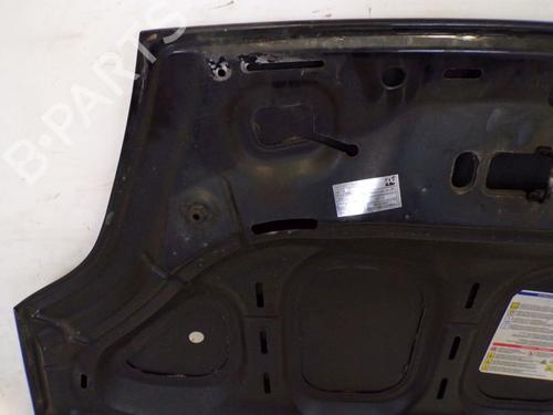 Hood FIAT GRANDE PUNTO (199_) 1.2 | BP29090468C1 