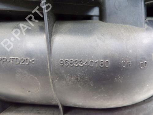 Air filter box PEUGEOT 207 CC (WD_) 1.6 16V | BP30668820M87 