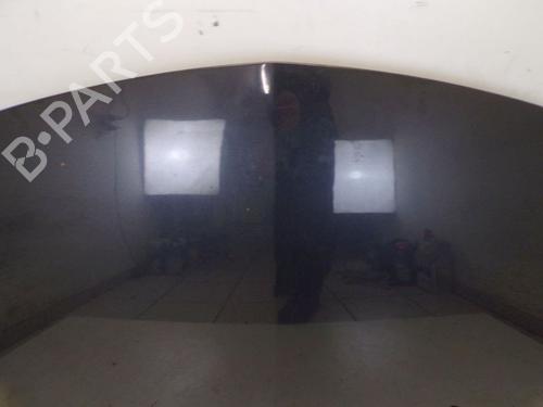 Hood RENAULT CLIO III (BR0/1, CR0/1) 1.6 16V (BR09, BR0T, CR09, CR0T) | BP29098067C1 
