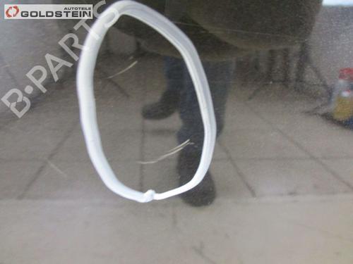 Left rear door VW TOUAREG (7LA, 7L6, 7L7) 5.0 V10 TDI | BP26647325C4 