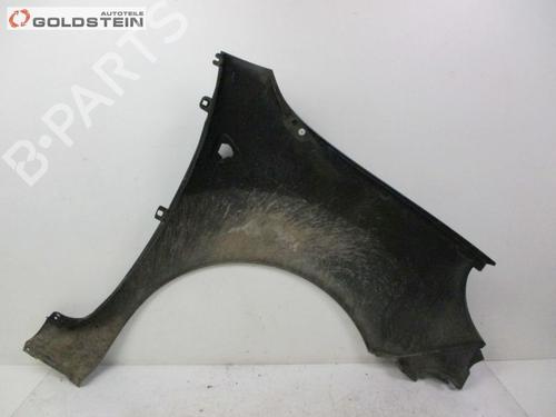Left front fenders RENAULT KANGOO / GRAND KANGOO II (KW0/1_) 1.5 dCi 105 (KW0F) | BP18752312C41 