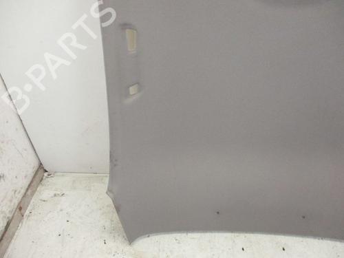 Interior roof BMW 1 (F20) 118 d | BP18796591I12 