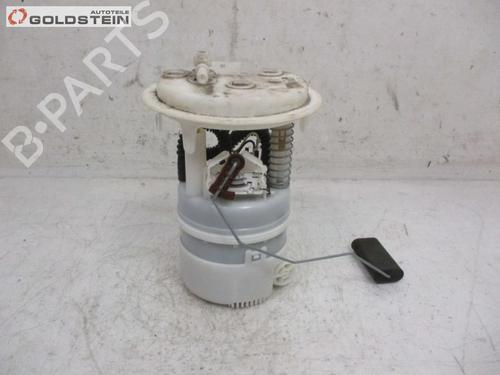 Used Fuel pump PEUGEOT 407 Coupe (6C_) 3.0 V6 (211 hp) 22194238