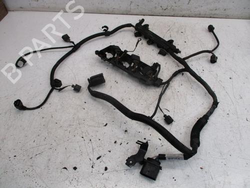 Used Wiring harness SKODA FABIA II (542) 1.2 (70 hp) 19299040