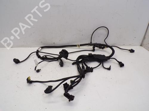 Ledningsnet BMW 3 (F30, F80) M3 (431 hp) 29084230
