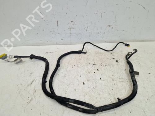 Used Cable PEUGEOT EXPERT Van (VF3A_, VF3U_, VF3X_) 1.6 HDi 90 8V (90 hp) 29099973
