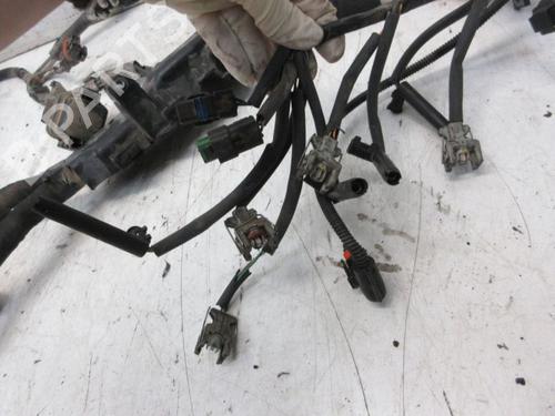 Wiring harness RENAULT MEGANE III Hatchback (BZ0/1_, B3_) 1.5 dCi | BP29093506E16 